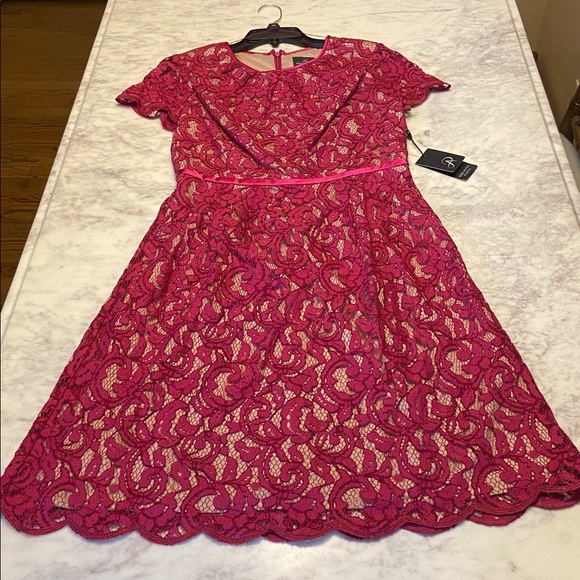 Adrianna Papell magenta lace over tan lining dresssize 10 - Picture 7 of 11